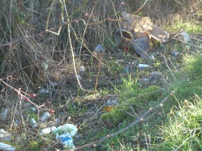 A typical patch of canalside rubbish