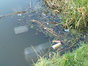 More rubbish in the water